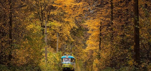 Трамвай-в-Пуще-Водице-золотая-осень