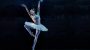 Зірка світового балету виступить в Києві